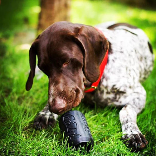 Can Chew Toy: Ultra-Durable Treat Dispenser for Power Chewers