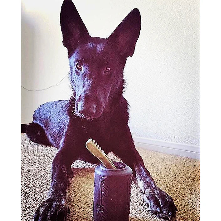 Can Chew Toy: Ultra-Durable Treat Dispenser for Power Chewers