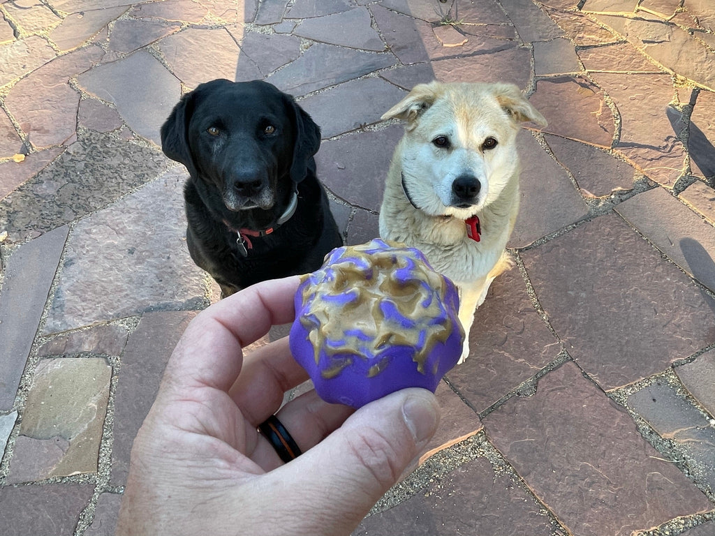 Cross Bones Treat Holder Chew Toy – Durable, Interactive Treat-Dispensing Chew for Dogs