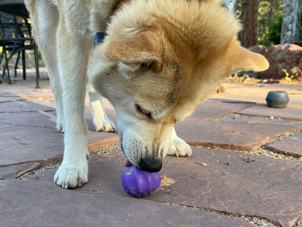 Cross Bones Treat Holder Chew Toy – Durable, Interactive Treat-Dispensing Chew for Dogs
