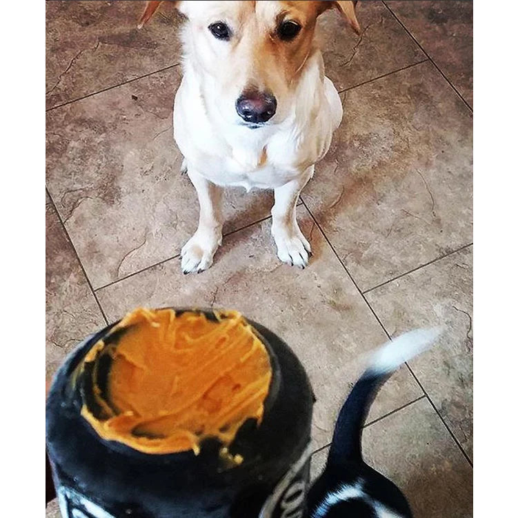 Can Chew Toy: Ultra-Durable Treat Dispenser for Power Chewers