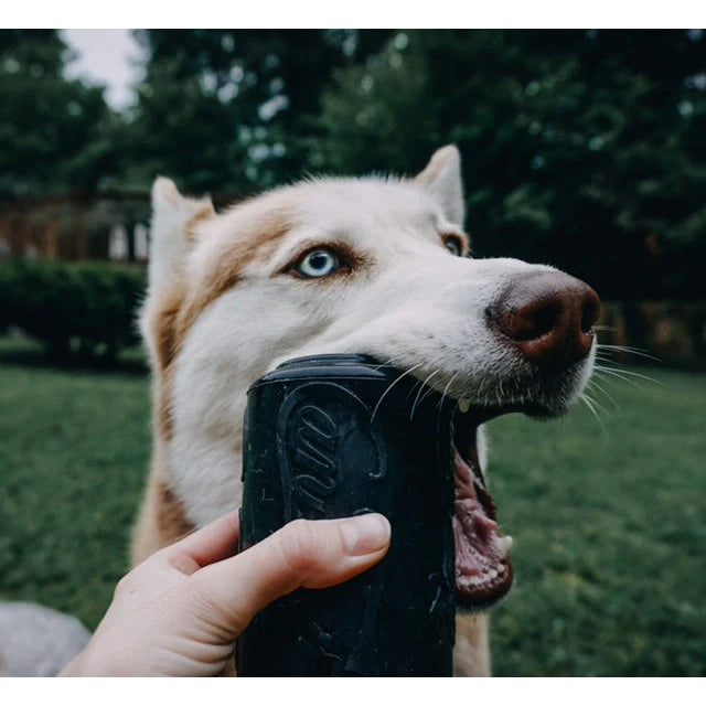 Can Chew Toy: Ultra-Durable Treat Dispenser for Power Chewers