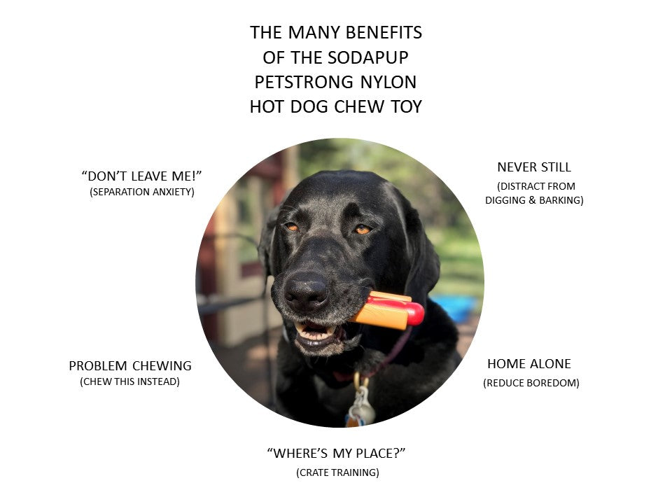 Hot Dog Chew Toy – Durable, Flavorful Fun for Dogs