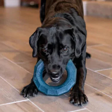 Large Ring Durable Dog Chew Toy