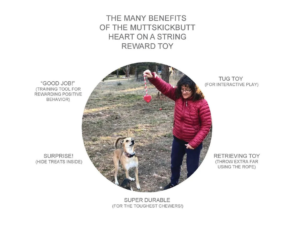 Heart on a String: Ultra-Durable Rubber Rope Toy for Dogs
