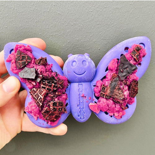 Butterfly Ultra-Durable Chew Toy for Tough Chewers