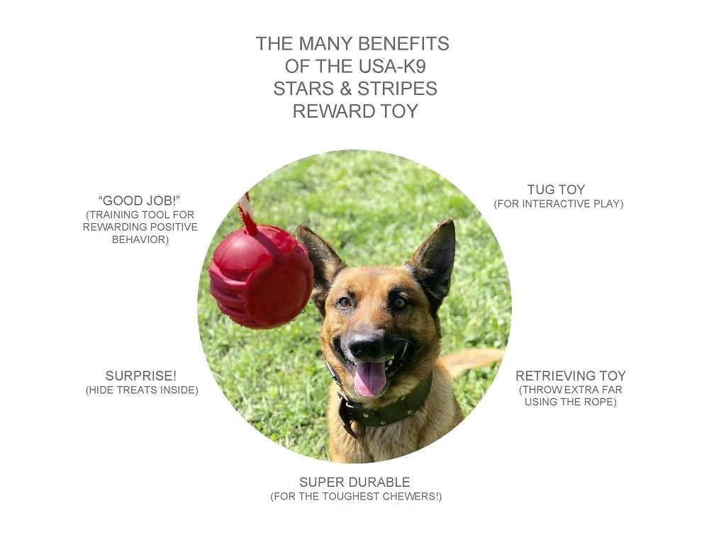 Durable Rubber Rope Dog Toy for Tough Chewers