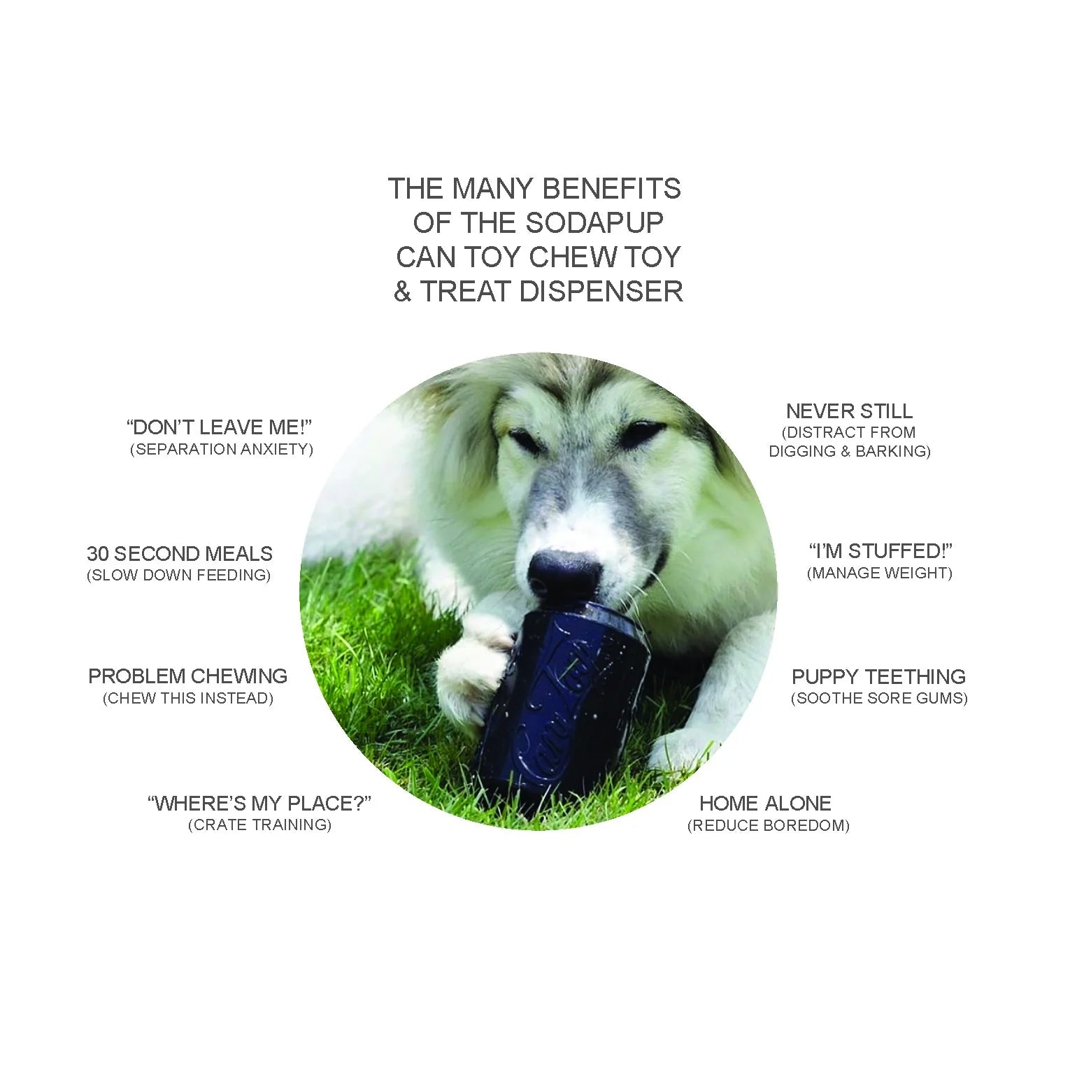 Can Chew Toy: Ultra-Durable Treat Dispenser for Power Chewers