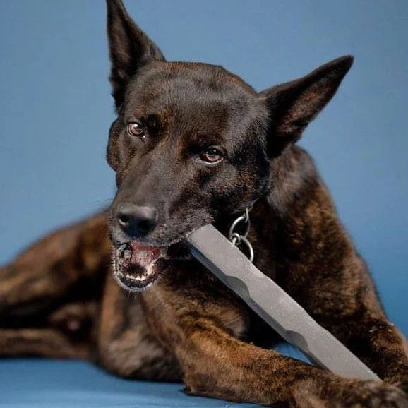 ltra-Tough Dog Chew Toy — Built to Last