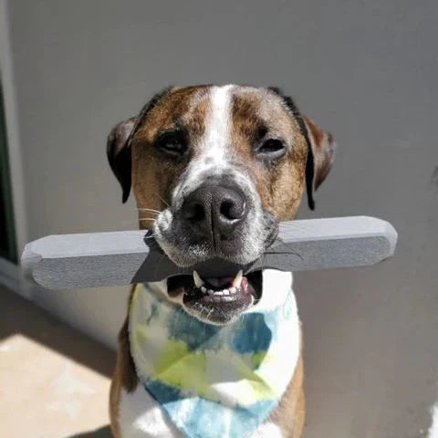 ltra-Tough Dog Chew Toy — Built to Last