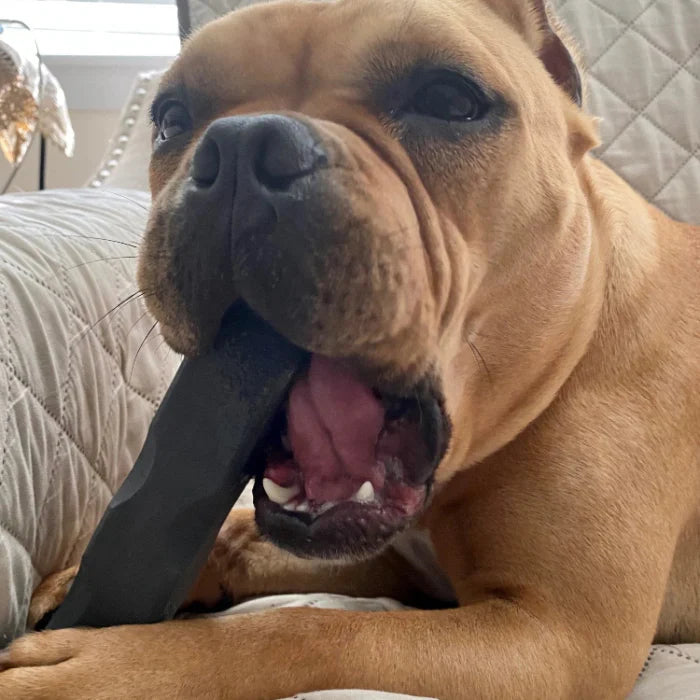 ltra-Tough Dog Chew Toy — Built to Last