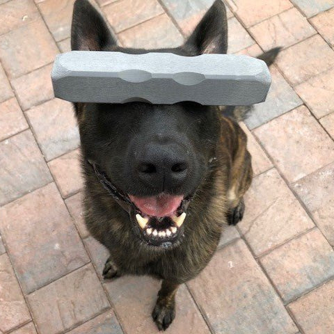 ltra-Tough Dog Chew Toy — Built to Last