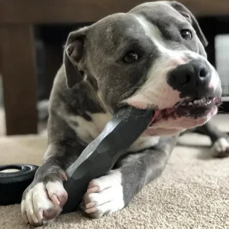 ltra-Tough Dog Chew Toy — Built to Last